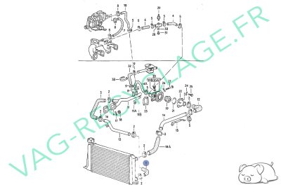 Durite liquide de refroidissement moteur 811121051A Audi 80 B2 1.3l FY FZ - Image 4