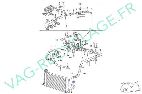 Durite liquide de refroidissement moteur 811121051A Audi 80 B2 1.3l FY FZ - Image 4