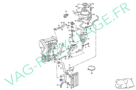 Durite refroidissement inférieure radiateur 191121051G pour Golf 2 et Jetta 2 - Image 6